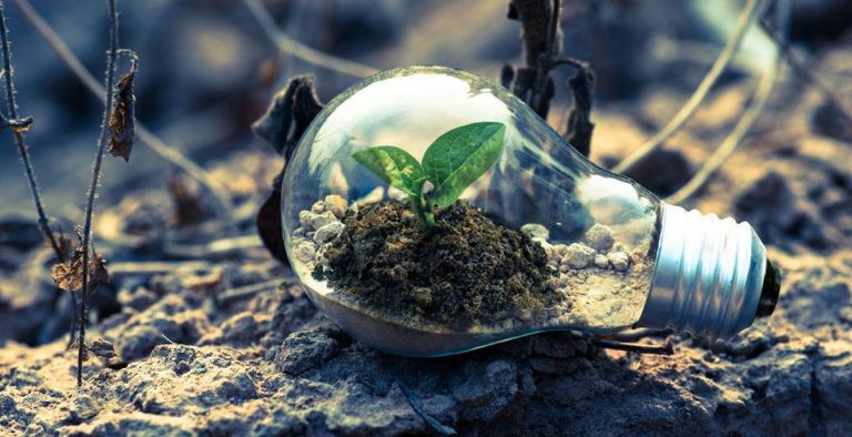 Scrisoare comună pentru stabilirea unor obiective climatice mai ambițioase și mai coerente în România