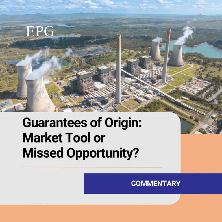 EPG think tank Commentary GOs Nadia Maki Site