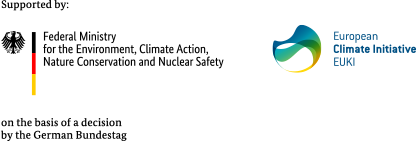 logo euki 2025 epg thinktank logo euki 2025 epg thinktank