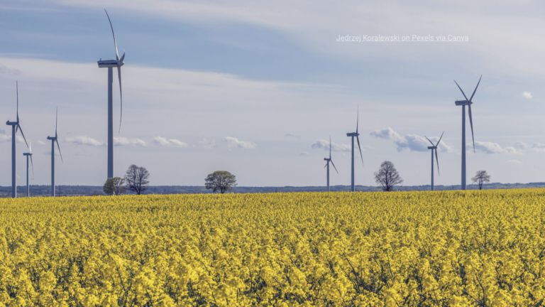 Asigurarea viitorului energetic și climatic al României: opțiuni de politici, expunere la riscuri și sprijin public