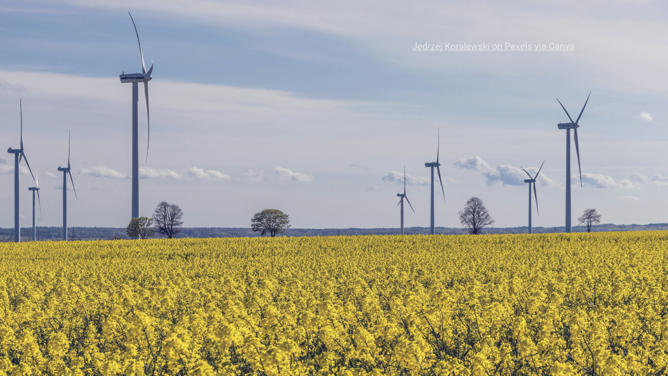 InBrief Photo Securing Romania’s Energy and Climate Future EPG thinktank Report