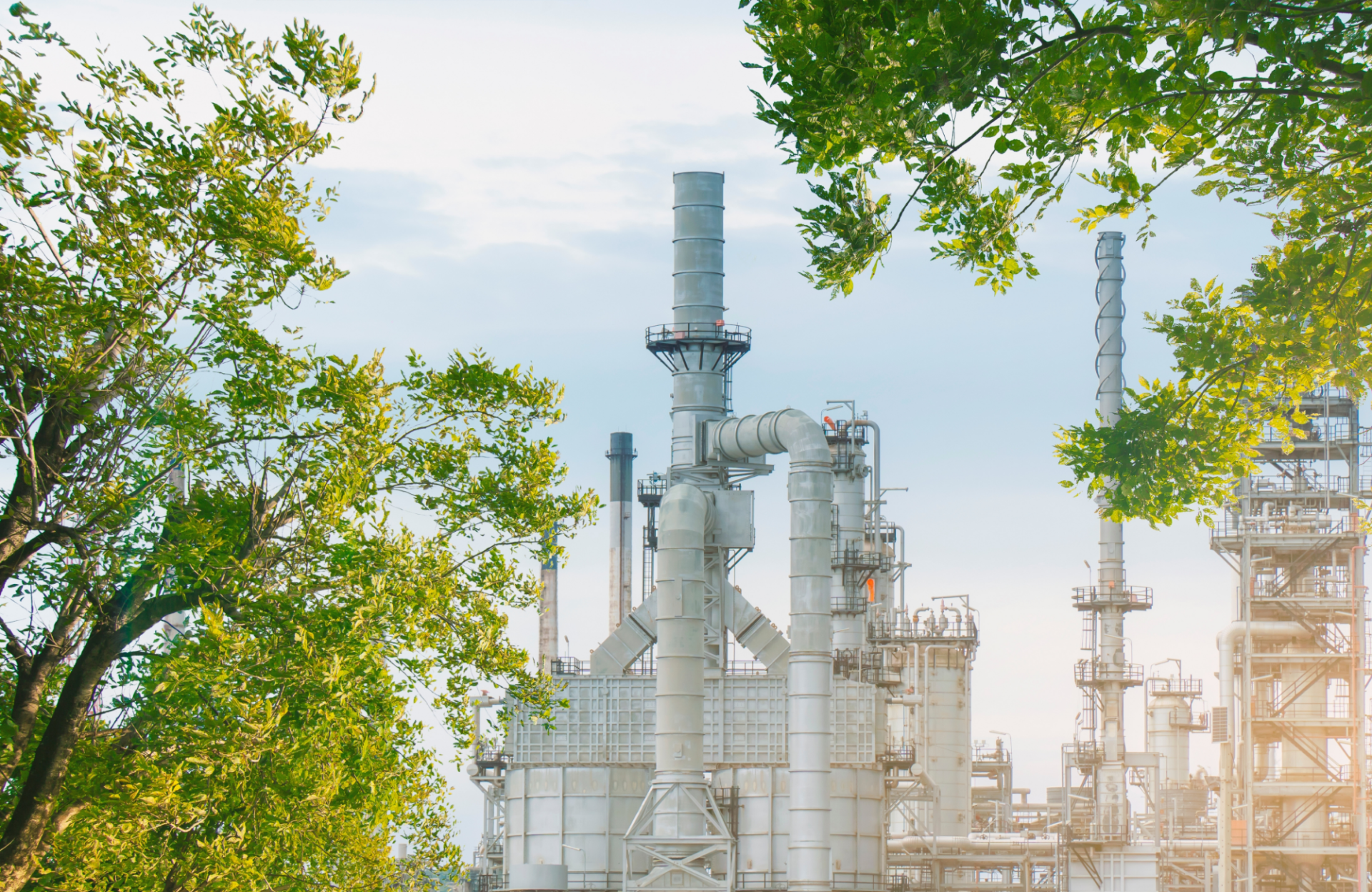 Studiu Național asupra Percepției Publice privind Managementul Carbonului în România epg think tank